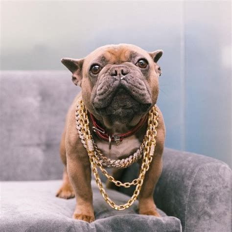 trappy chainz son.